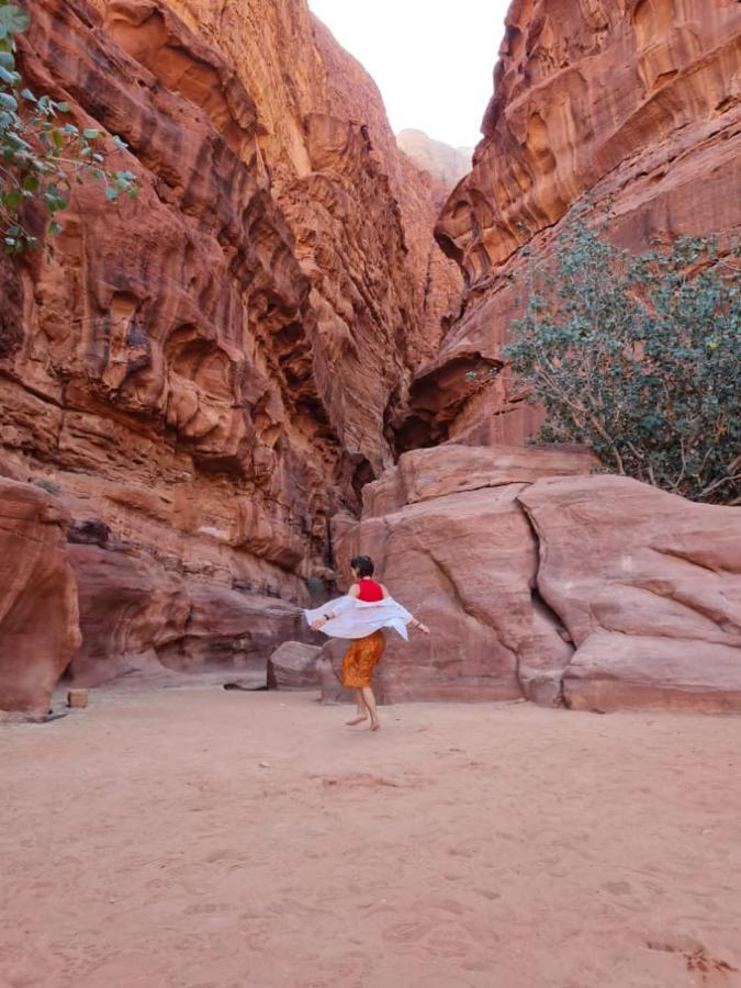 Wadi Galaxy Camp *